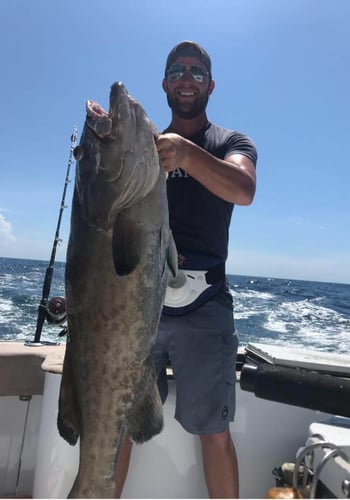 Premier Destin Fishing - 60’ Blackwell in Destin