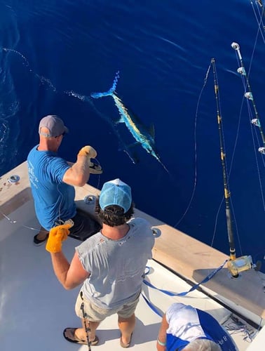 Premier Destin Fishing - 60’ Blackwell in Destin