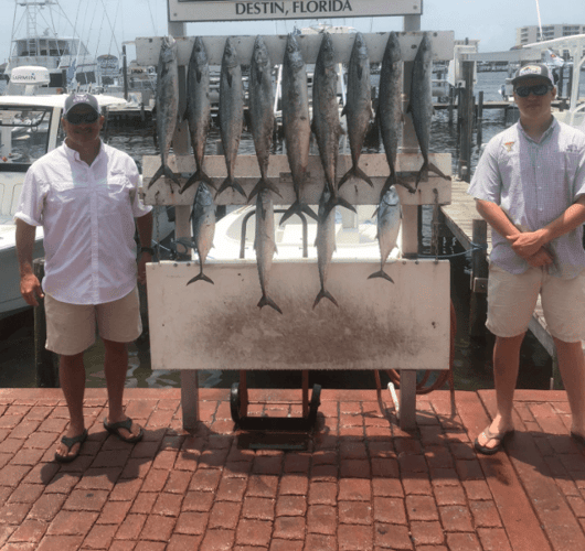 Destin Cobia Masters - 42’ Uniflite In Destin