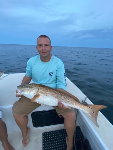 Trophy Red Drum Trip In Morehead City