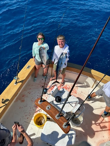 Hot Pursuit In The Gulf Stream In Islamorada