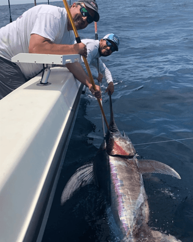 Offshore Full Day Fishing Trip in Matagorda