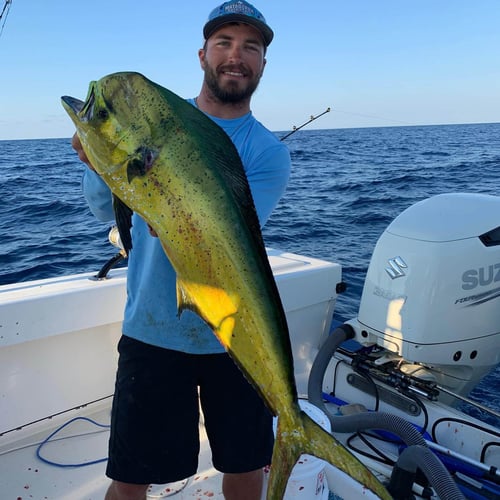 Offshore Full Day Fishing Trip in Matagorda