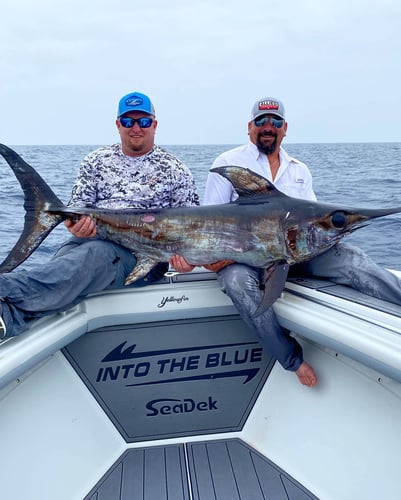 Offshore Full Day Fishing Trip in Matagorda