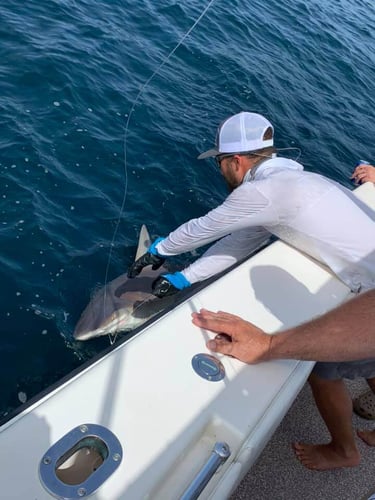 Offshore Full Day Fishing Trip in Matagorda