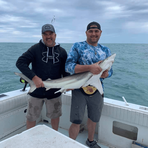 Shark Hunt: Thrilling Adventure In Galveston