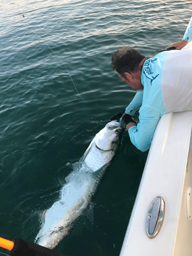 Chasing Tarpon In Islamorada