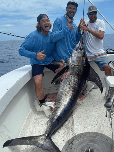 Extended Day Swordfish Chase In Islamorada