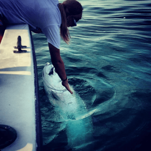 Marathon Tarpon Trip - 25' Custom In Marathon