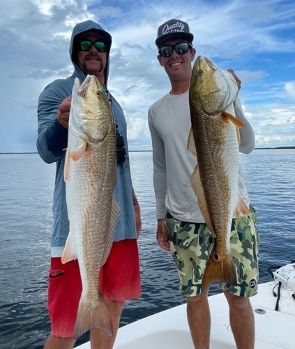 Inshore Redfish Roundup In Matlacha