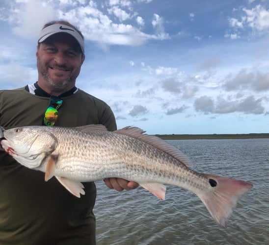 Full Day Fishing - 25’ Dargle In Wharton