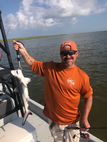 Full Day Fishing - 25’ Dargle In Wharton