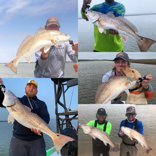 Full Day Fishing - 25’ Dargle In Wharton
