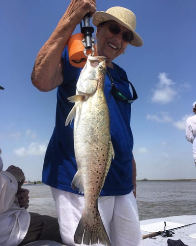 Full Day Fishing - 25’ Dargle In Wharton