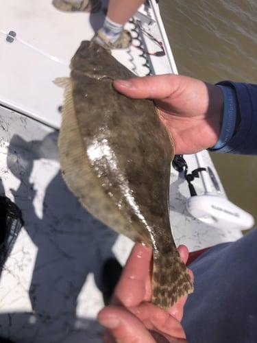 Full Day Fishing - 25’ Dargle In Wharton
