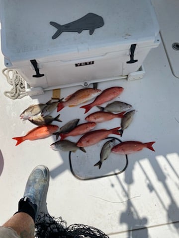 5-7 hr Pensacola Fishing Trip - 27’ Tidewater