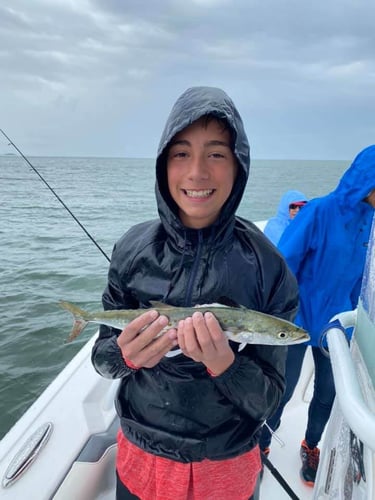 Half Day Nearshore Fishing In Pensacola