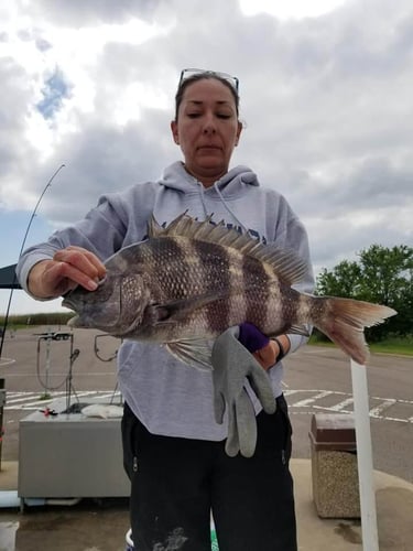 Half Day Nearshore Fishing In Pensacola