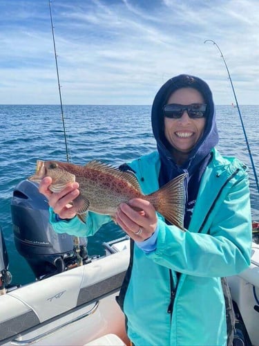 All-Day Offshore Trolling In Pensacola