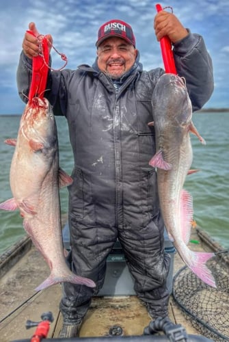 Lake Ray Hubbard Trophy Catfish Trip In Dallas