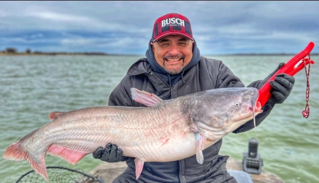 Lake Ray Hubbard Trophy Catfish Trip In Dallas