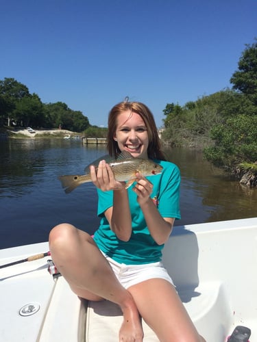 Santa Rosa Flats: Reel & Explore In Pensacola Beach