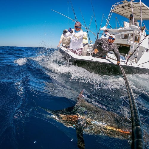 World Class Pacific Billfish Bash In Iztapa