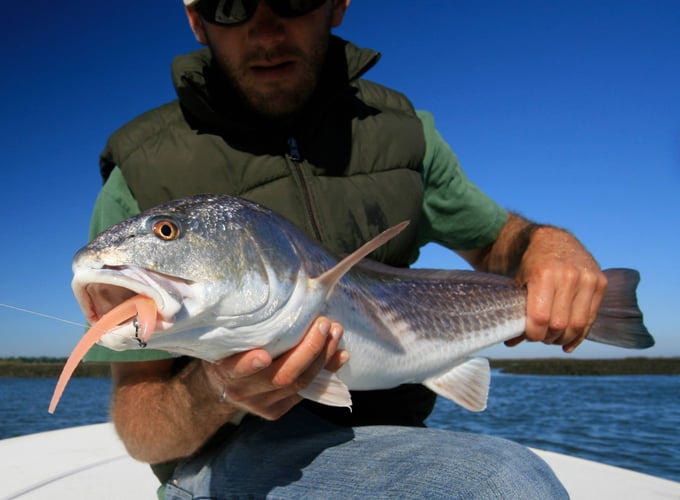 Chasing Fins On The Coastal Bend In Corpus Christi