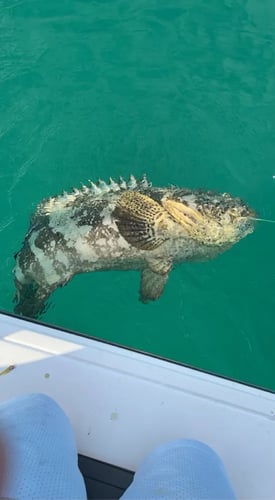 Evening Fishing Excursion in Key Largo