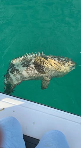 Evening Fishing Excursion In Key Largo