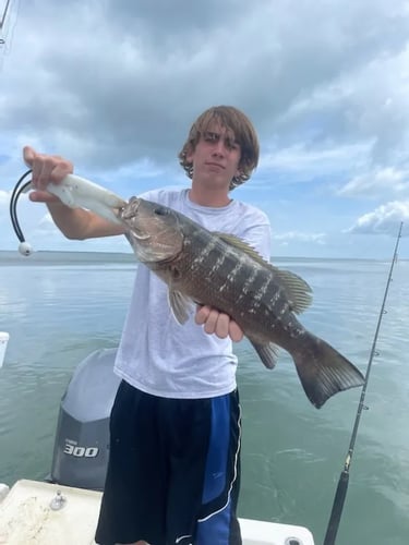 Evening Fishing Excursion In Key Largo