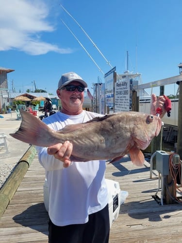 Red Snapper Baby! In Fort Myers Beach