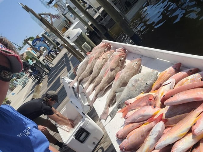 Red Snapper Baby! In Fort Myers Beach