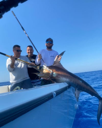 Daytime Swordfishing - 37’ SeaVee In Fort Lauderdale