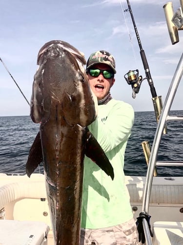 Offshore Charter - 33' World Cat in Pensacola