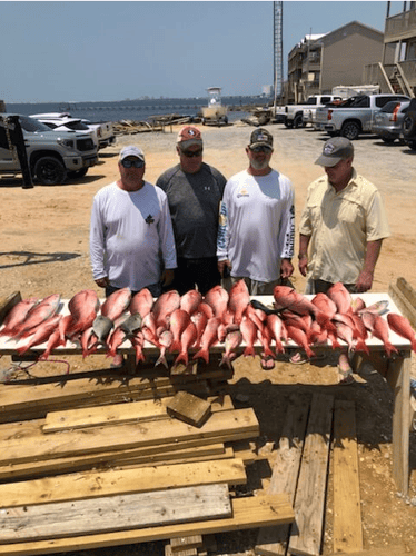 Offshore Charter - 33' World Cat In Pensacola