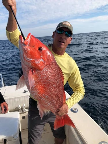 Offshore Charter - 33' World Cat in Pensacola