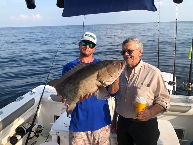 Offshore Charter - 33' World Cat in Pensacola
