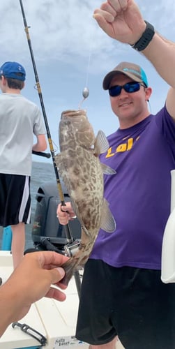 Offshore Charter - 33' World Cat in Pensacola