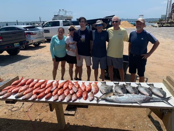 Offshore Charter - 33' World Cat in Pensacola