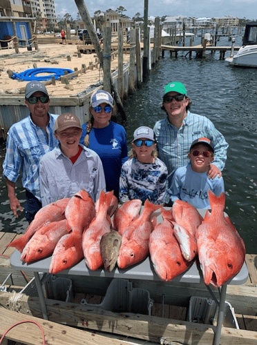 Offshore Charter - 33' World Cat in Pensacola