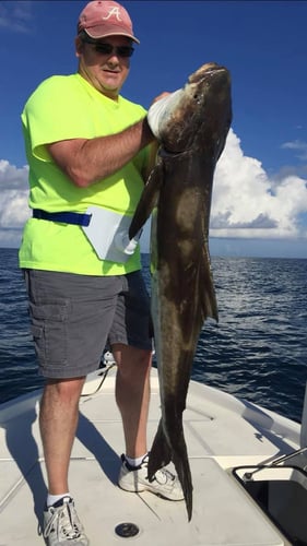 Offshore Charter - 33' World Cat in Pensacola