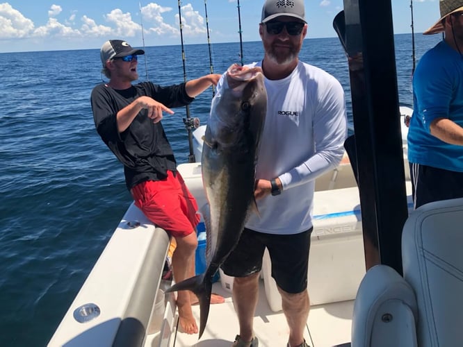 Offshore Charter - 33' World Cat in Pensacola