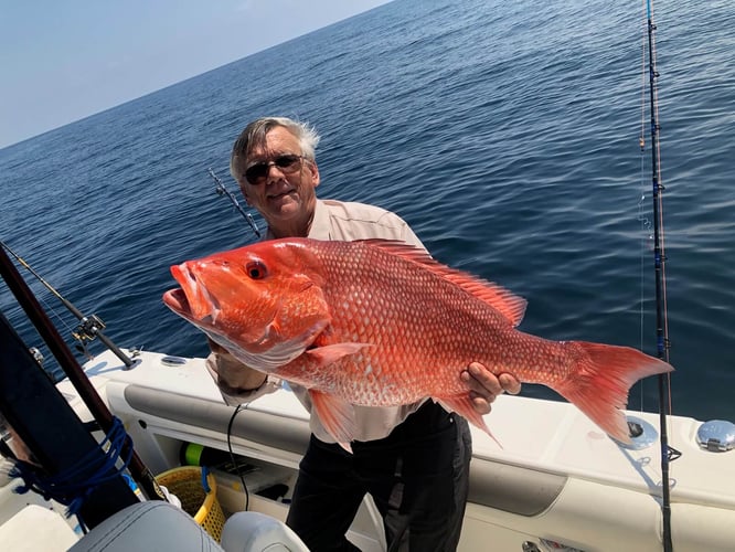 Offshore Charter - 33' World Cat in Pensacola