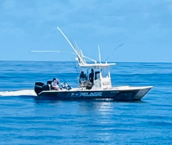 Extreme Fishing Puerto Rico with Captain Experiences