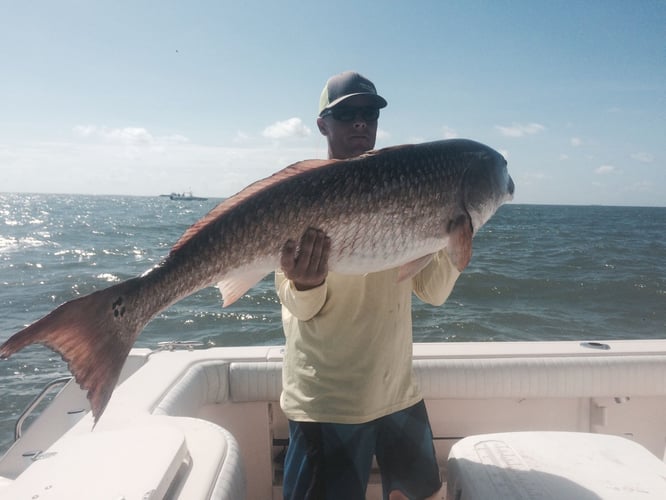 Galveston Jetty Trip In Galveston