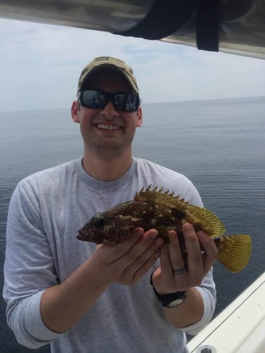 Winter Fishing Frenzy in Destin
