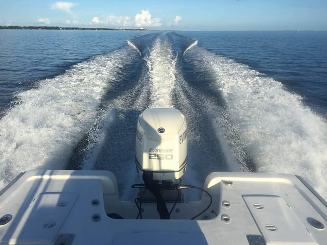 Winter Fishing Frenzy in Destin