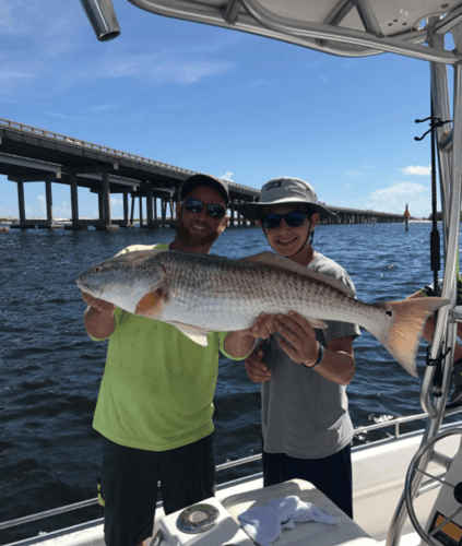 Winter Fishing Frenzy in Destin