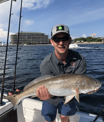 Winter Fishing Frenzy in Destin